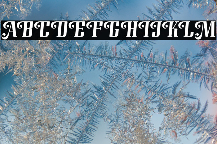 Modusa-Regular Example 1