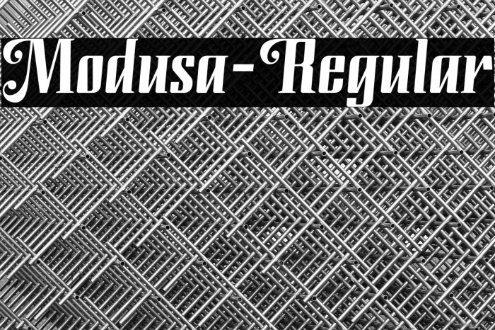 Modusa-Regular Example 3