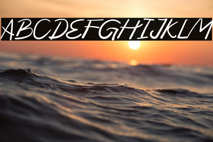 Moduss Personal Use Example 1