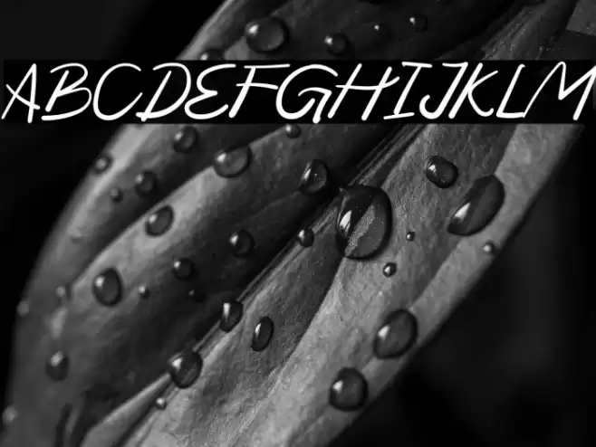 Moduss Personal Use Font examples