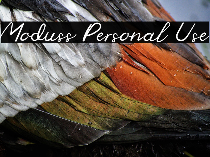 Moduss Personal Use Example 1