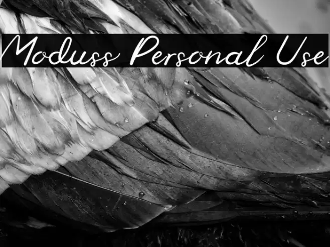 Moduss Personal Use Font examples