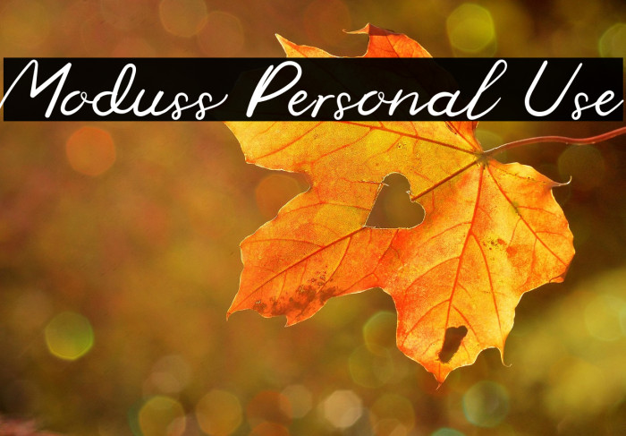 Moduss Personal Use Example 2