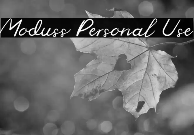 Moduss Personal Use Font examples