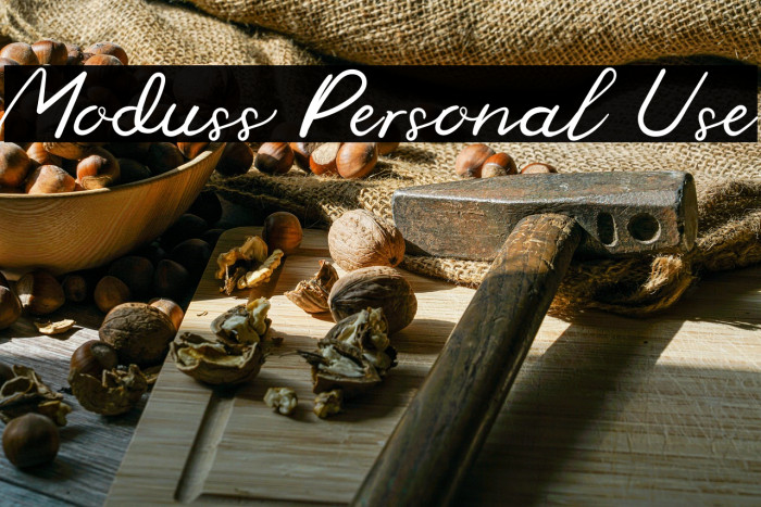 Moduss Personal Use Example 3