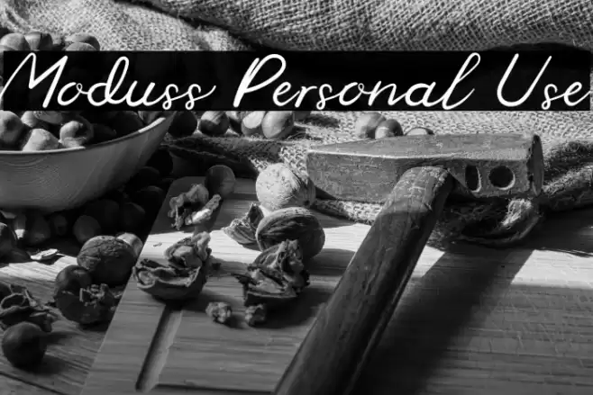 Moduss Personal Use Font examples