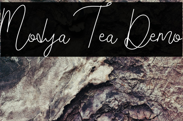 Modya Tea Demo Example 2