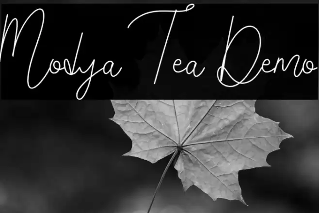Modya Tea Demo Font examples