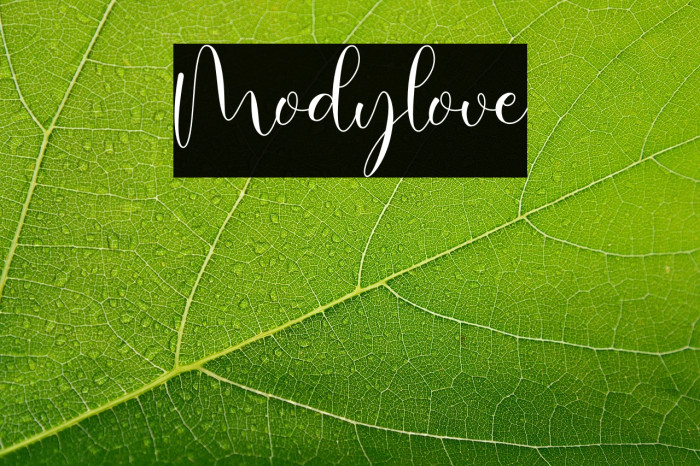 Modylove Example 2