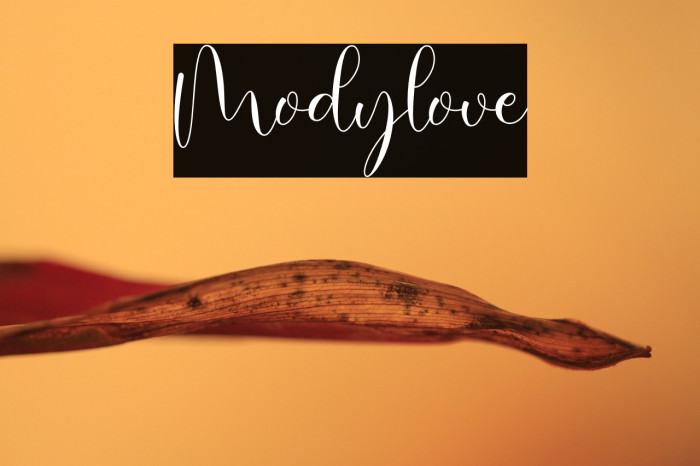 Modylove Example 3