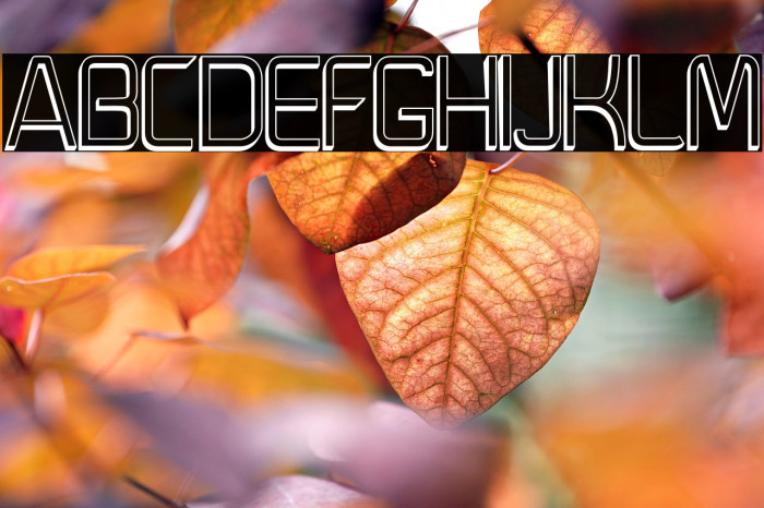 Moedyningsih_Shadow Example 3