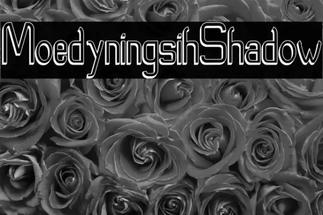 Moedyningsih_Shadow Font examples