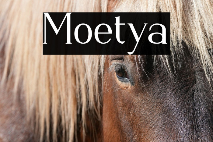 Moetya Example 3