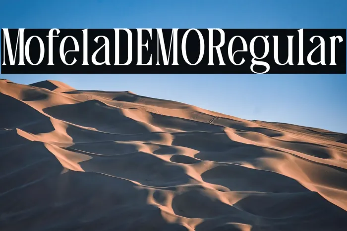 Mofela DEMO Regular Example 1