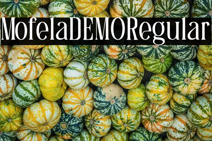 Mofela DEMO Regular Example 3
