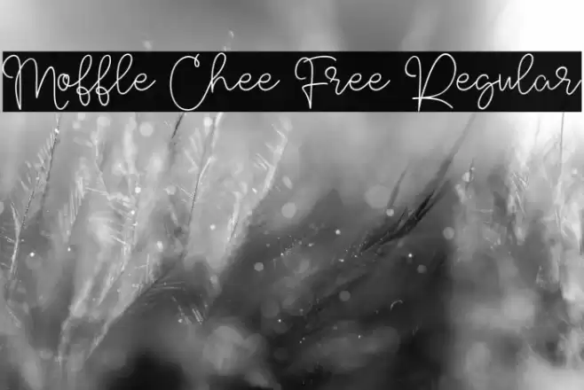 Moffle Chee Free Regular خط examples