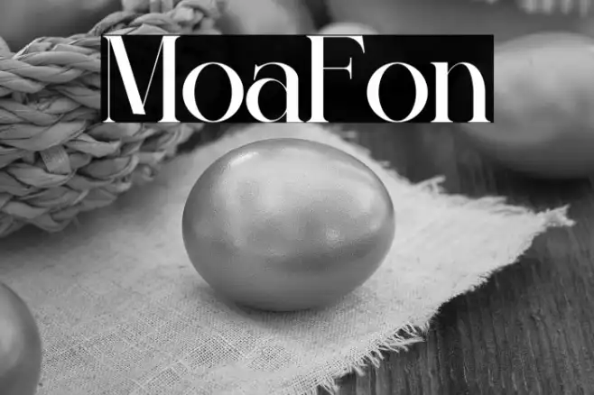 Mofia Example 1