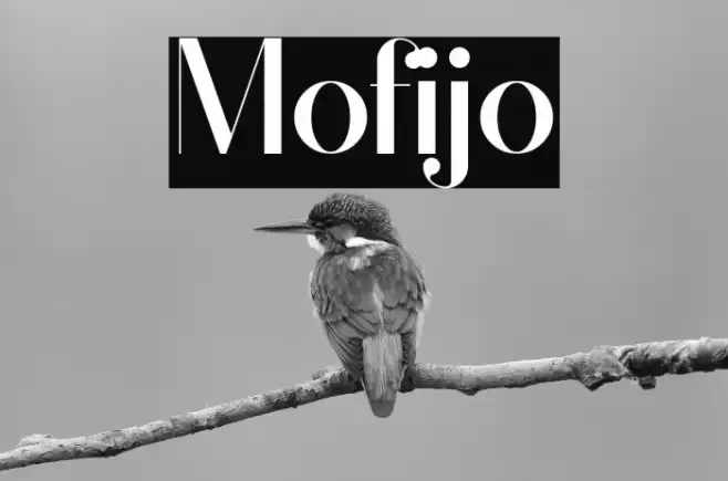 Mofijo Font examples