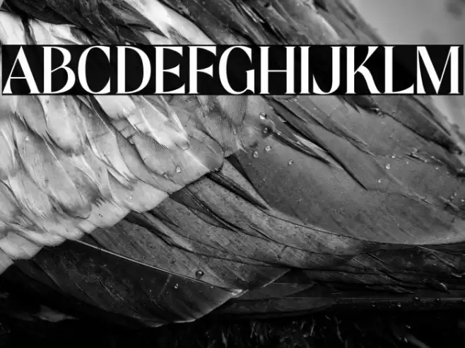 Mofista Font examples