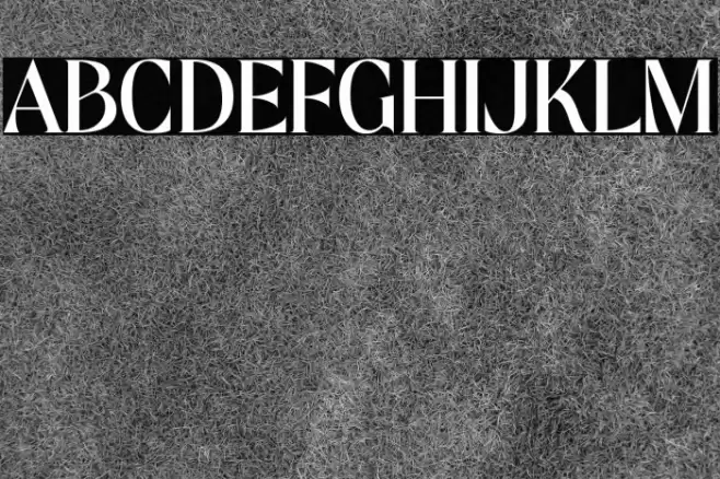 Mofista Font examples