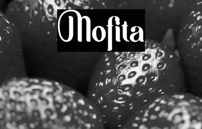 Mofita Example 1