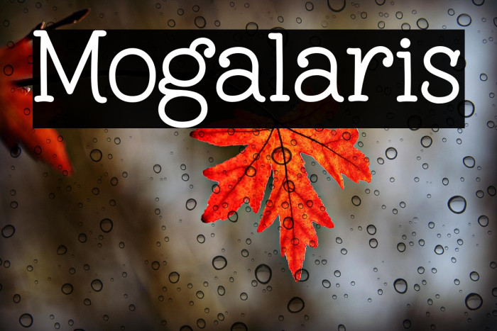 Mogalaris Example 1