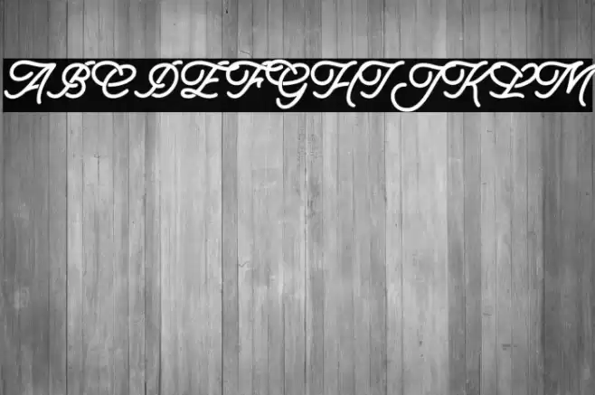 MogasterDEMO Font examples