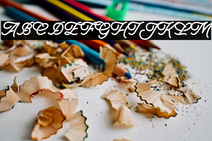 MogasterDEMO Example 3