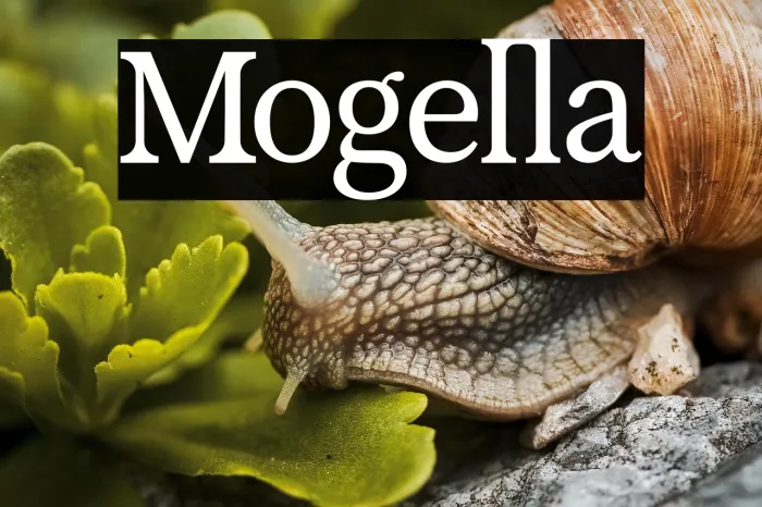 Mogella Example 1
