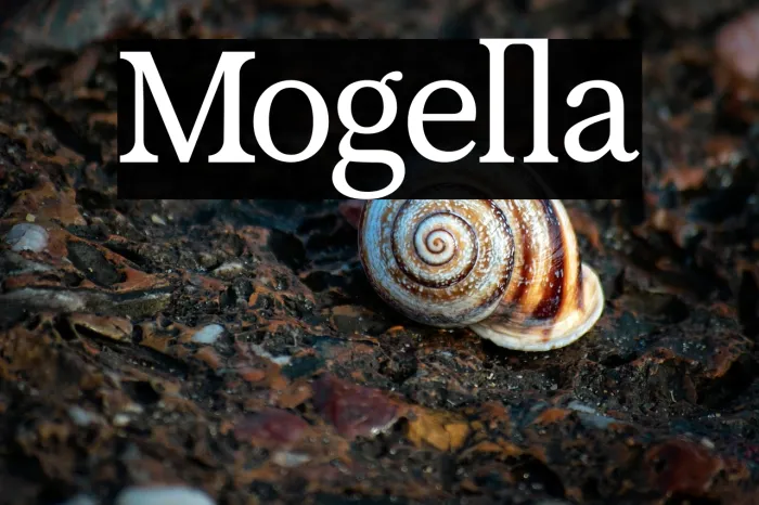 Mogella Example 3