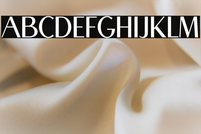 Mogen Bold Example 2