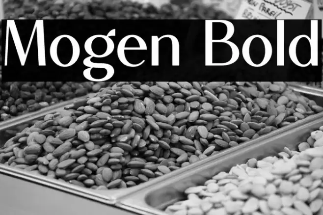 Mogen Bold Font examples