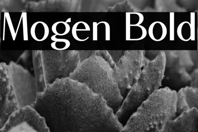 Mogen Bold Font examples