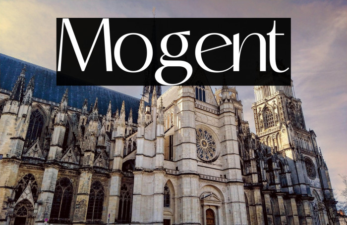 Mogent Example 1