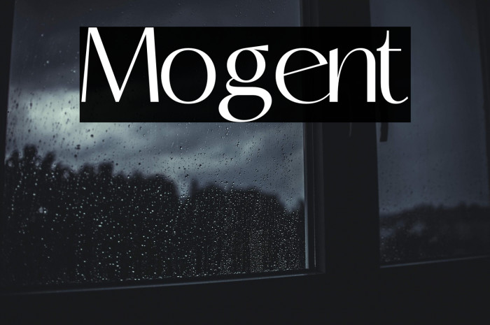 Mogent Example 2