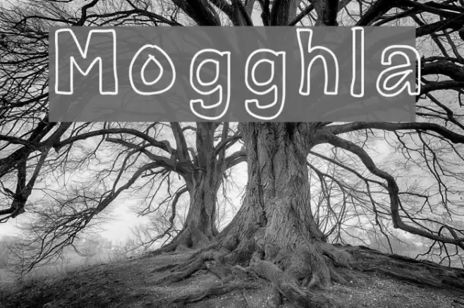 Mogghla Font examples