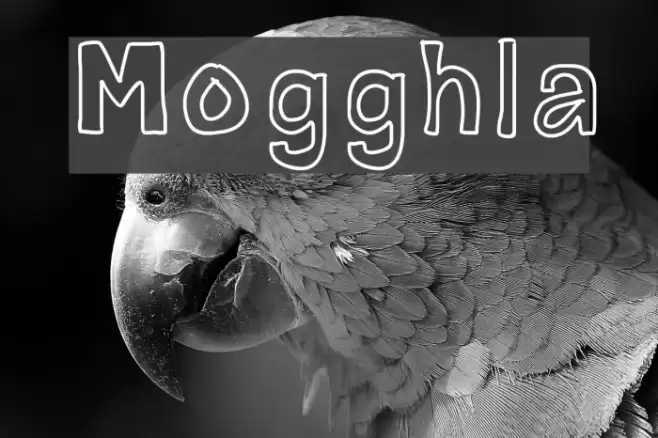 Mogghla Font examples