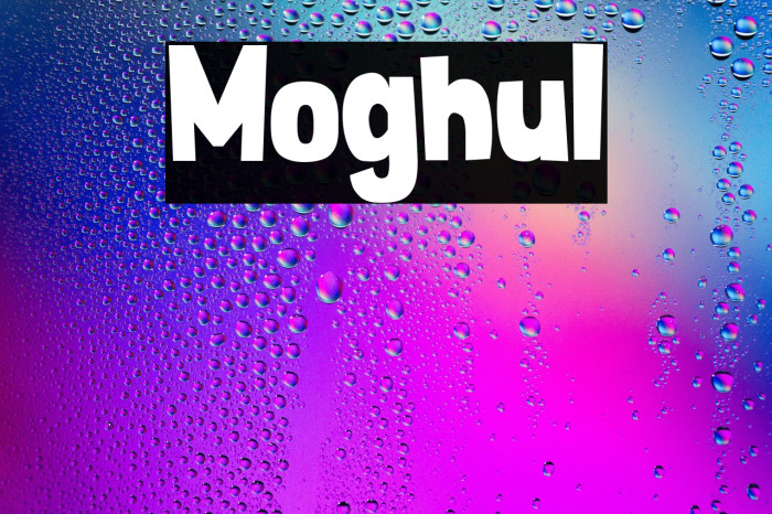 Moghul Example 1
