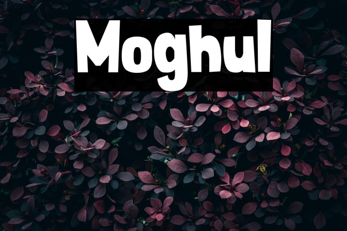 Moghul Example 2