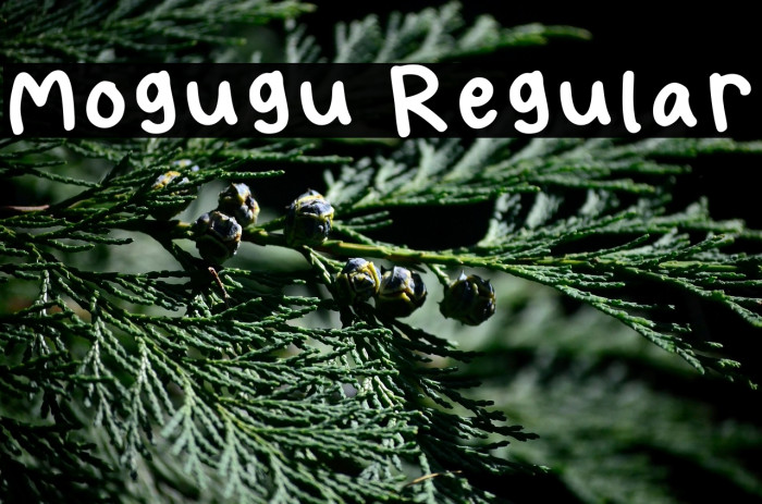Mogugu Regular Example 3
