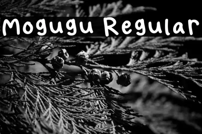 Mogugu Regular Example 3