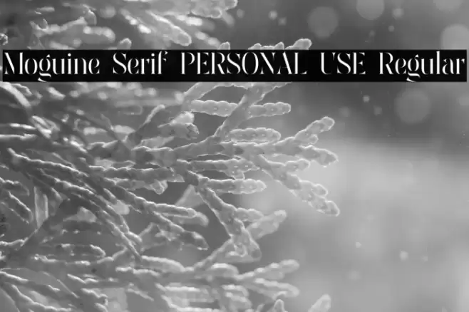 Moguine Serif PERSONAL USE Regular Font examples