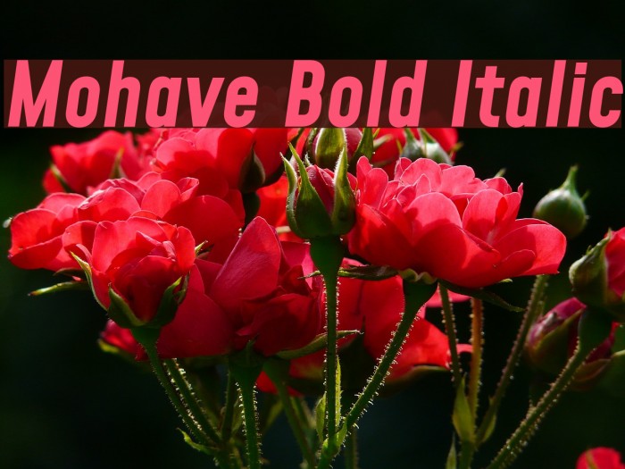 Mohave Bold Italic Шрифта examples