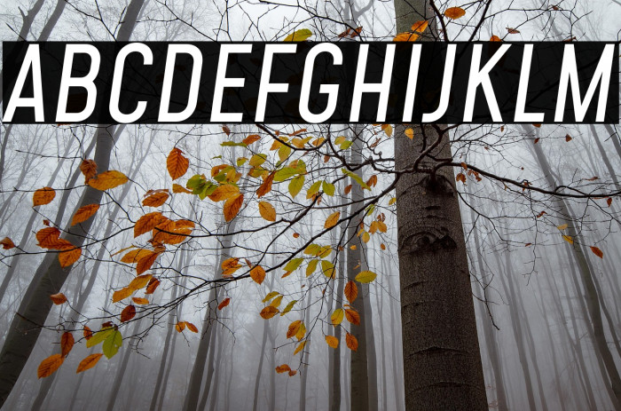 Mohave Italic Example 1