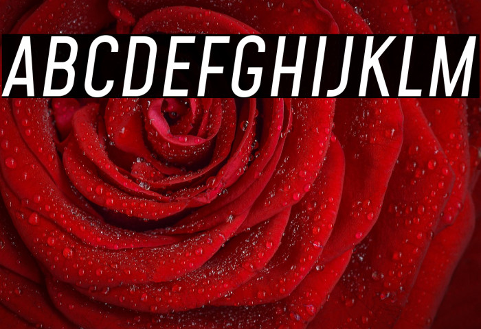 Mohave Italic Example 2