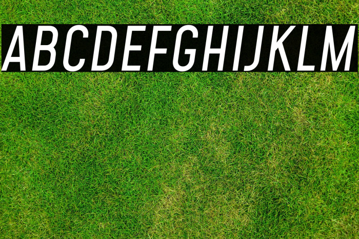 Mohave Italic Example 3