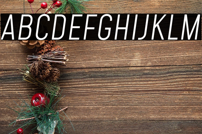 Mohave Light Italic Example 2