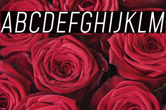 Mohave Light Italic Example 3