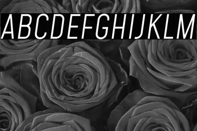 Mohave Light Italic Example 3