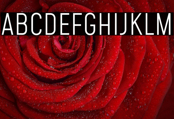 Mohave Light Example 1